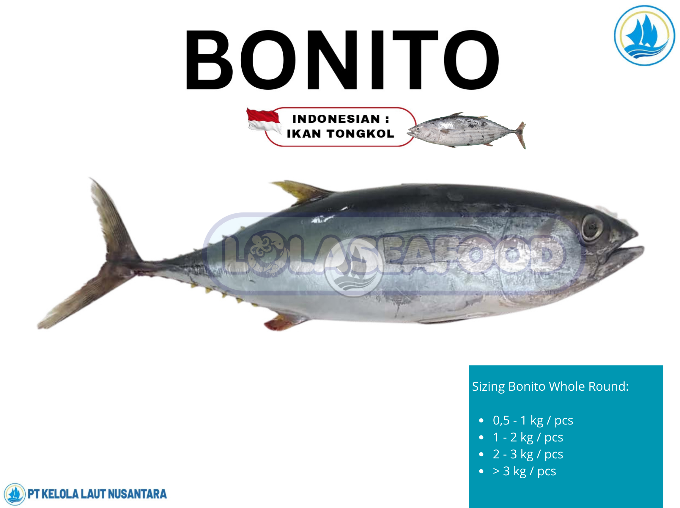 Bonito Whole Round